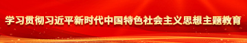 很很插女逼学习贯彻习近平新时代中国特色社会主义思想主题教育